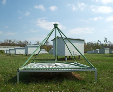 Test antenna for radio emission from air showers.