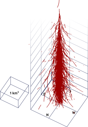 Simulated trajectories for the charged particles in an air shower